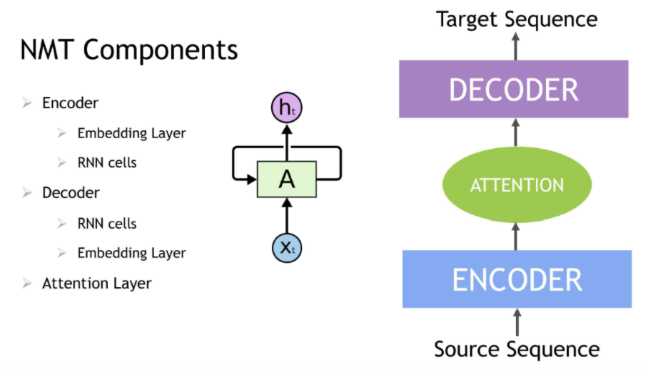 NMT comportement 