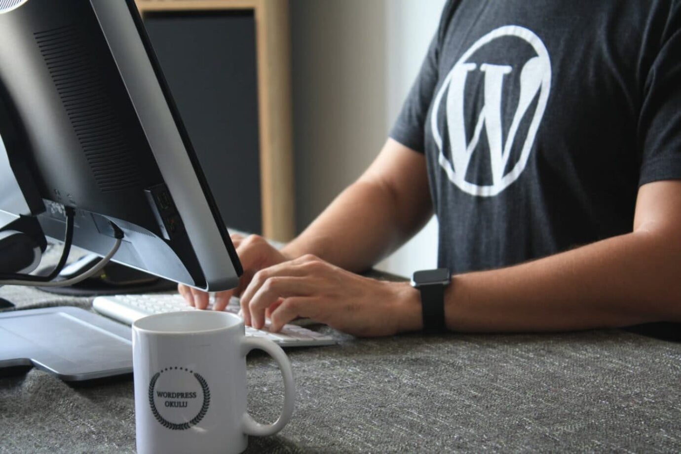 Développeur wordpress